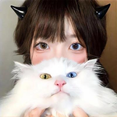 钻石王牌第二季